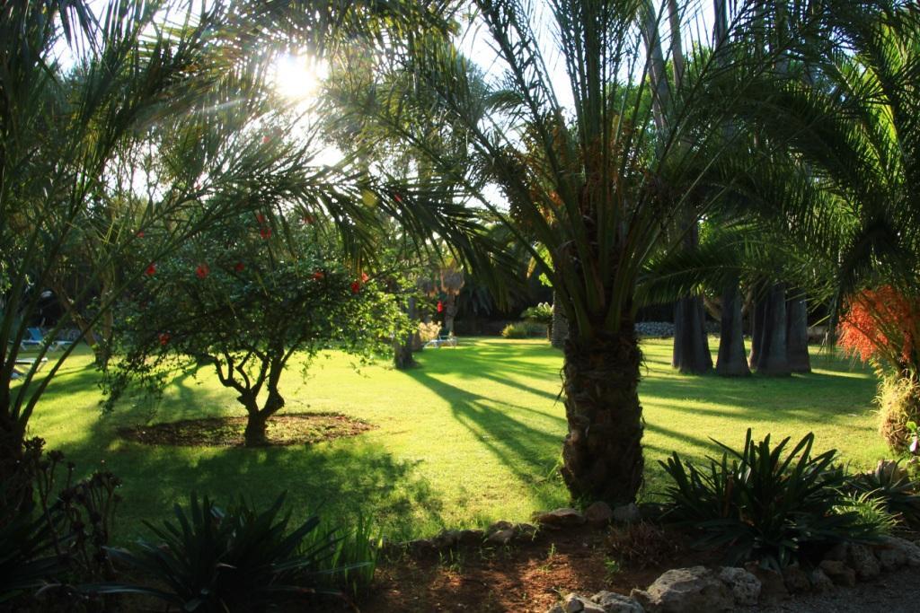Finca Hotel Predio Son Serra Can Picafort  Exteriör bild